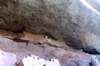mesaverde1992c_102a800_small.jpg