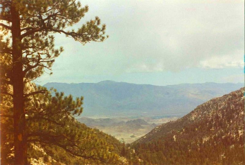 mtwhitneya120_8002.jpg
