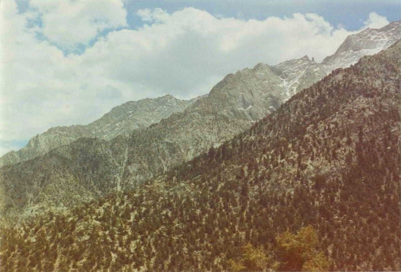 mtwhitneyd1178002.jpg