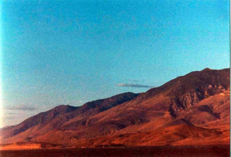 whitneyaa1f800.jpg