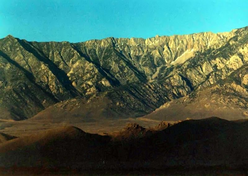 whitneyca1f_filtered800.jpg