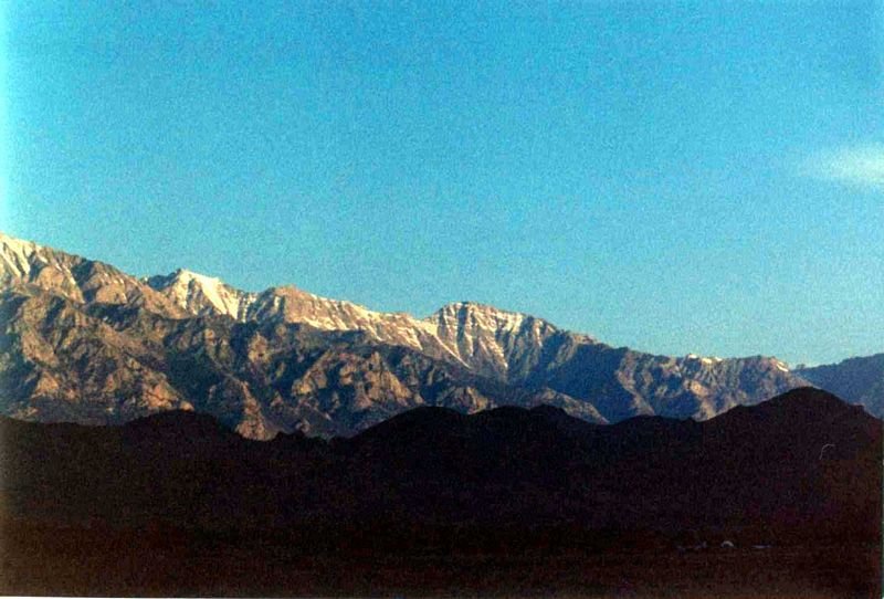 whitneyha1f800.jpg