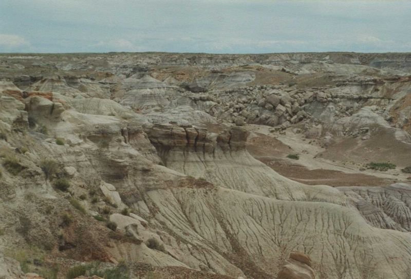 petrifiedmay1994_1of2_212800.jpg