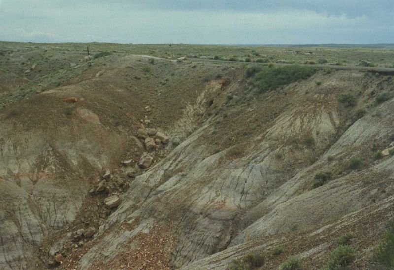 petrifiedmay1994_1of9_209800.jpg