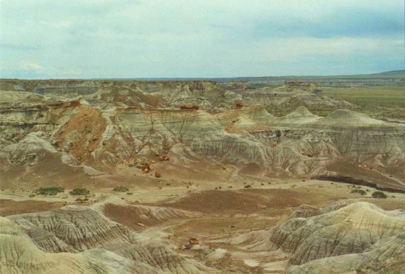petrifiedmay1994_2of2a1_212800.jpg