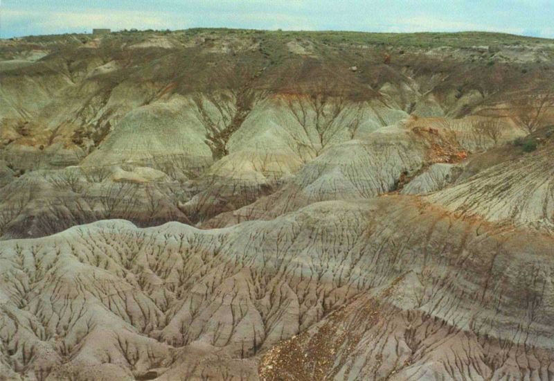 petrifiedmay1994_2of9a1_209800.jpg