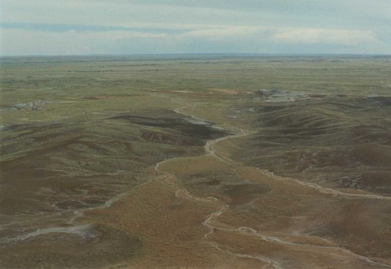 petrifiedmay1994_3of6_214800.jpg