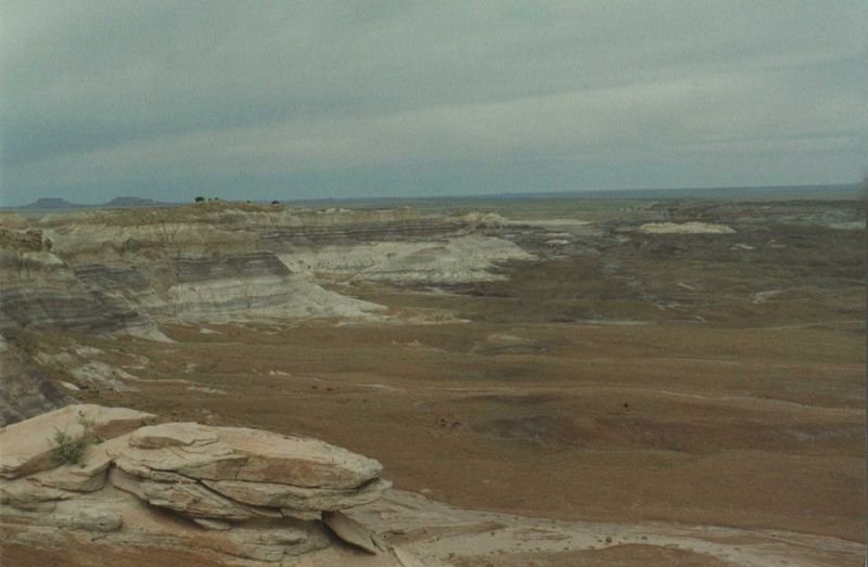 petrifiedmay1994_6of6_215800.jpg