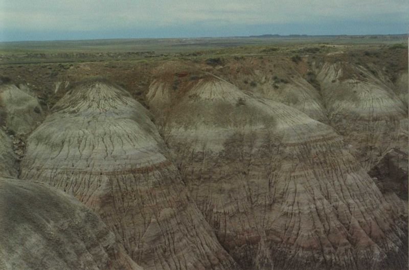 petrifiedmay1994_8of9_211800.jpg