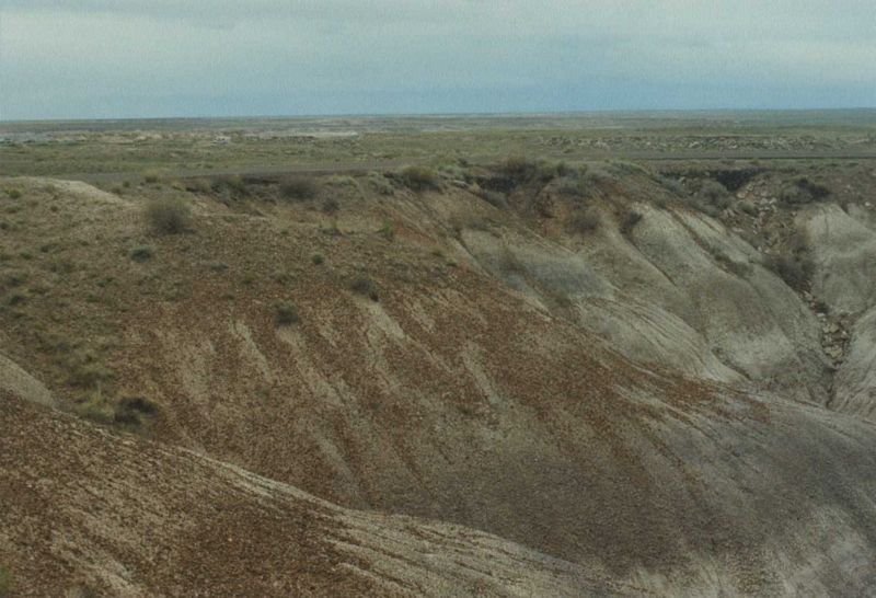 petrifiedmay1994_9of9_211800.jpg
