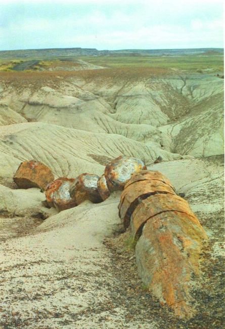 petrifiedmay1994a111_213800.jpg