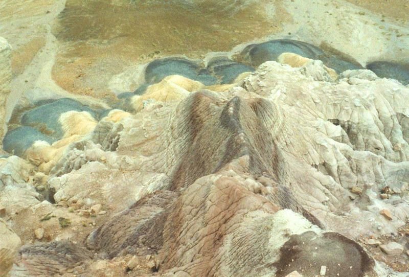 petrifiedmay1994a3_211800.jpg