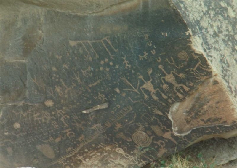 petrifiedmay1994d_208800.jpg