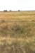 texas138b2_small.jpg