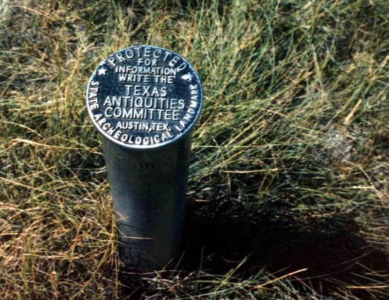 texas139a3.jpg