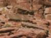 moutahb131b_8005_small.jpg