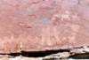 moutahd130a8002_small.jpg