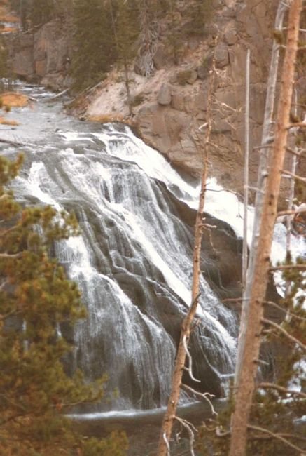 _gibbonfalls84feet800.jpg