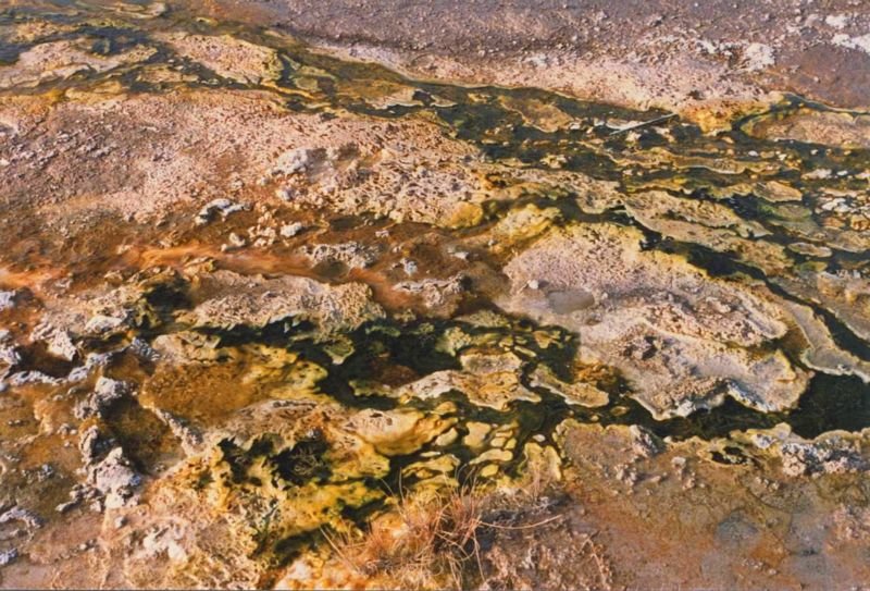 _ofrunoff800.jpg