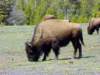 photo2_small.jpg