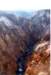 yellowgandcanyonyellra015a800_small.jpg