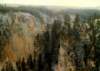 yellowinspirationpt4of4017b800_small.jpg