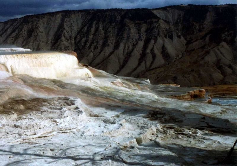 yellowmhscupidterraceb011a800.jpg