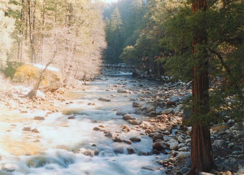 hayleeyosemite1999_102a1.jpg