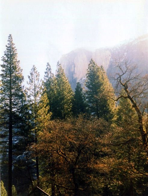 hayleeyosemite1999_109b2.jpg