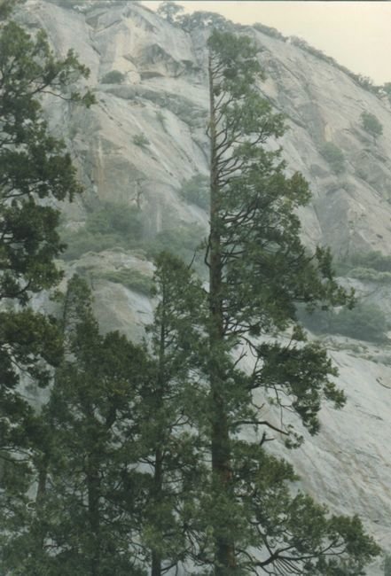 yosemite053a800.jpg