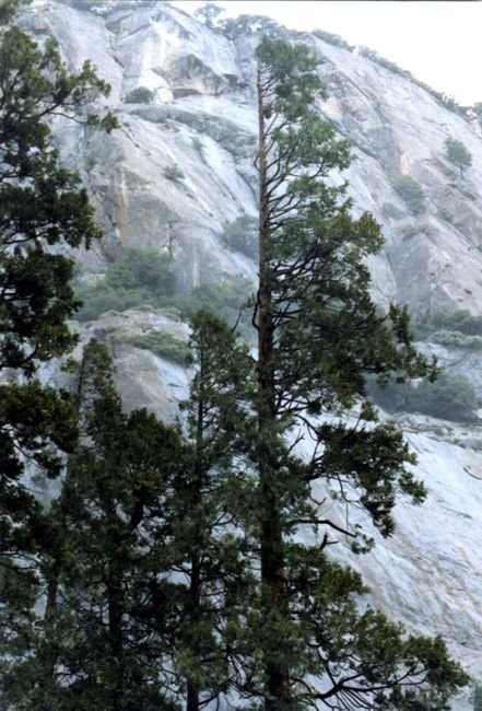 yosemite053ac800.jpg
