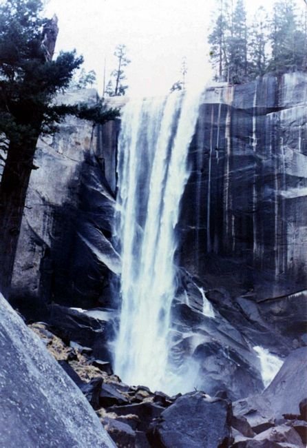 yosemited065a800.jpg