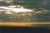 ojosliebresfeb97_029c1b_small.jpg