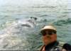 philwhale001a800_small.jpg
