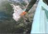 scammonsmarch1997a_090800_small.jpg