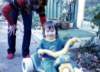 deesarah035_filtered_small.jpg