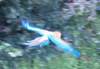 photo220_small.jpg