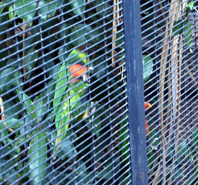 photo4.jpg