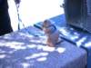 photo408_small.jpg