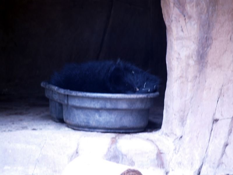 photo47.jpg