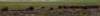a11_small.jpg