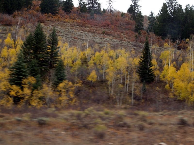photo15.jpg