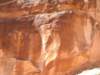 photo307_small.jpg