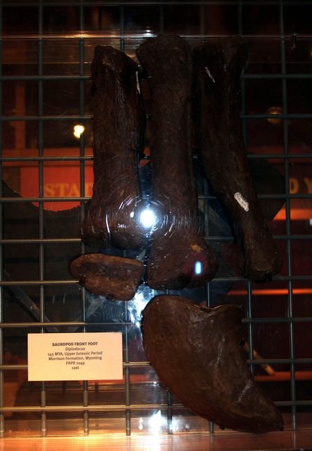 photo5.jpg
