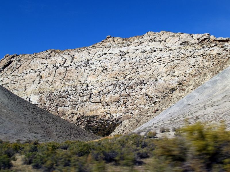 photo.jpg