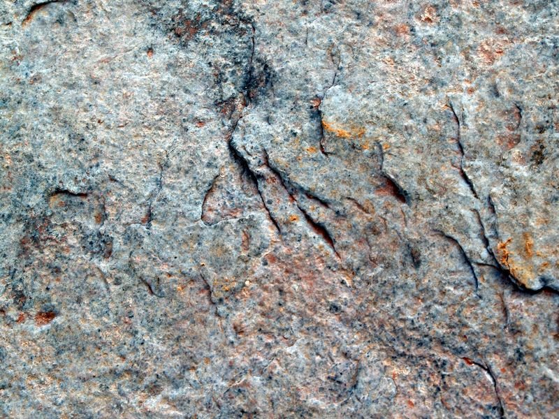 photo83.jpg