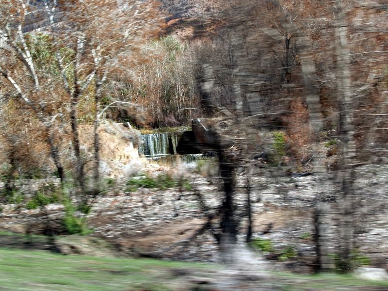photo19.jpg