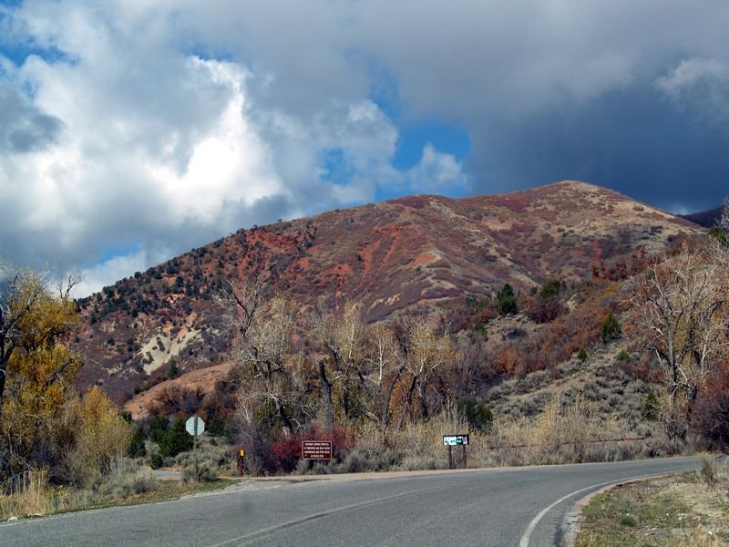 photo28.jpg