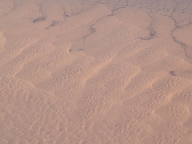 photo41.jpg