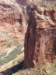 _8204168a_small.jpg
